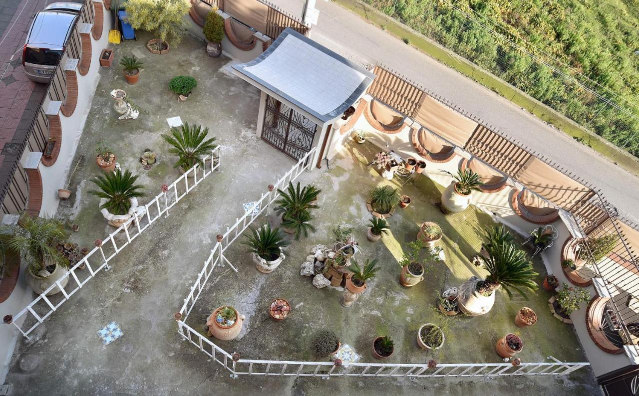Le Cycas 3*