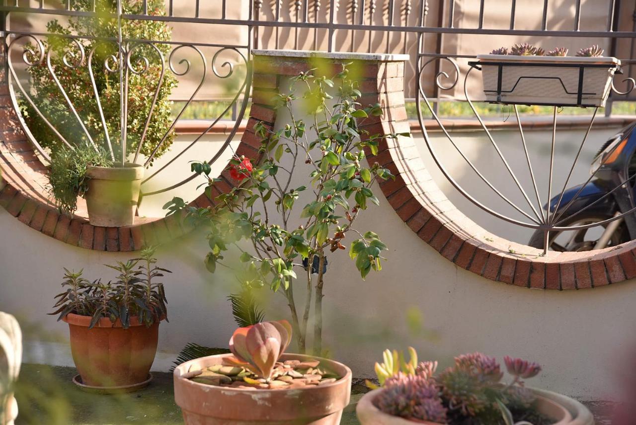Le Cycas Bed & Breakfast Castellammare di Stabia
